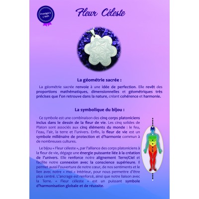 Fleur céleste 12