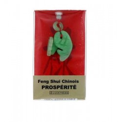 Porte-bonheur Feng-shui Jade Prospérité
