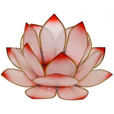 Photophore lotus - coloris rose