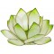Photophore lotus - coloris vert lime