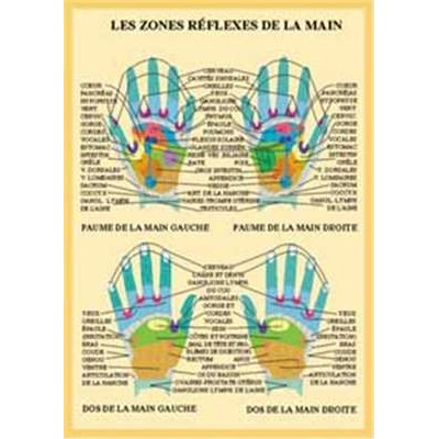 Planche Zones réflexes de la main - A4