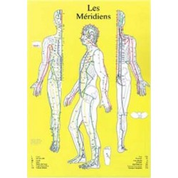 Planche Méridiens Chronobioenergetica - A4