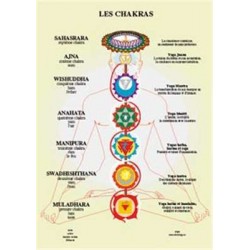 Planche des Chakras - A4
