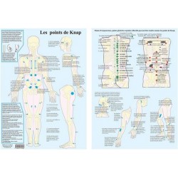Planche Les points de Knap