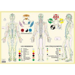 Planche Méridiens et 5 éléments