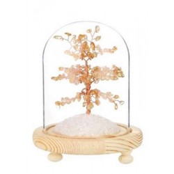 Arbre du Bonheur sous cloche Citrine