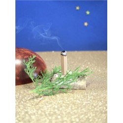 Briques de fumigation et socle Protection divine