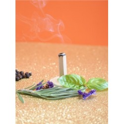 Briques de fumigation et socle Aura positive